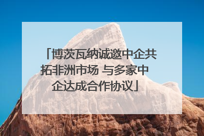 博茨瓦纳诚邀中企共拓非洲市场 与多家中企达成合作协议