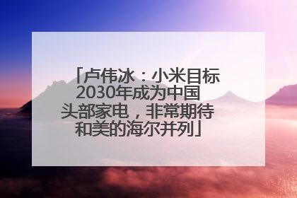 卢伟冰：小米目标2030年成为中国头部家电，非常期待和美的海尔并列