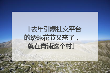 去年引爆社交平台的绣球花节又来了，就在青浦这个村