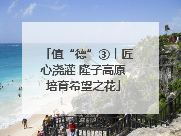 值“德”③丨匠心浇灌 隆子高原培育希望之花