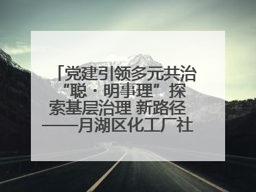 党建引领多元共治 “聪・明事理”探索基层治理 新路径——月湖区化工厂社区新实践