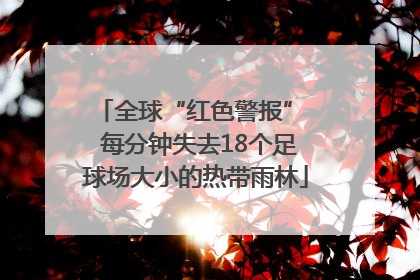 全球“红色警报”  每分钟失去18个足球场大小的热带雨林