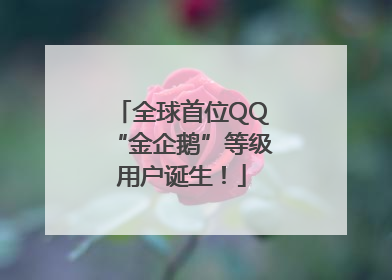 全球首位QQ“金企鹅”等级用户诞生！