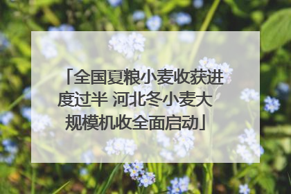 全国夏粮小麦收获进度过半 河北冬小麦大规模机收全面启动