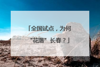 全国试点，为何“花落”长春？