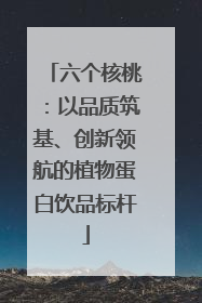 六个核桃：以品质筑基、创新领航的植物蛋白饮品标杆