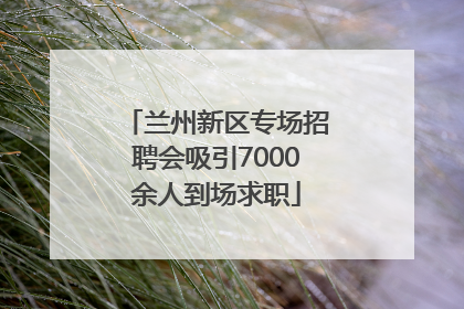 兰州新区专场招聘会吸引7000余人到场求职