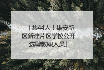 共44人！雄安新区新建片区学校公开选聘教职人员
