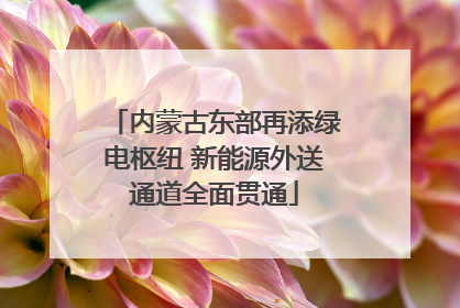 内蒙古东部再添绿电枢纽 新能源外送通道全面贯通