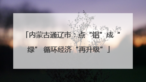 内蒙古通辽市：点“铝”成“绿” 循环经济“再升级”