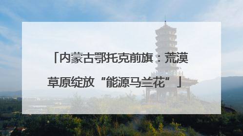 内蒙古鄂托克前旗：荒漠草原绽放“能源马兰花”