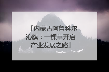 内蒙古阿鲁科尔沁旗：一棵草开启产业发展之路