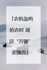 农机轰鸣抢农时 湖滨“开镰”麦飘香