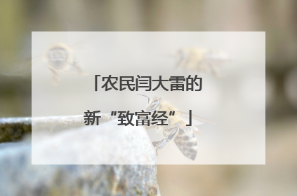 农民闫大雷的新“致富经”