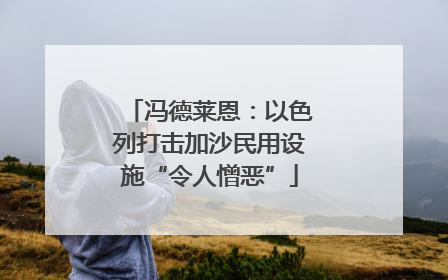 冯德莱恩：以色列打击加沙民用设施“令人憎恶”