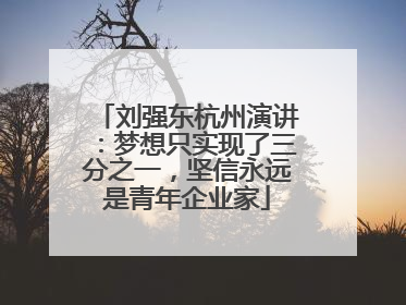 刘强东杭州演讲：梦想只实现了三分之一，坚信永远是青年企业家