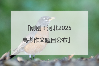 刚刚！河北2025高考作文题目公布