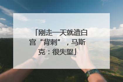 刚走一天就遭白宫“背刺”，马斯克：很失望