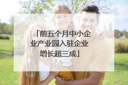 前五个月中小企业产业园入驻企业增长超三成