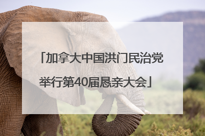 加拿大中国洪门民治党举行第40届恳亲大会