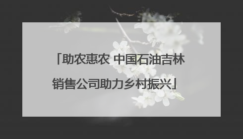 助农惠农 中国石油吉林销售公司助力乡村振兴