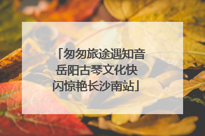 匆匆旅途遇知音 岳阳古琴文化快闪惊艳长沙南站