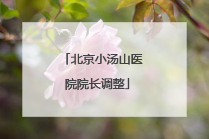 北京小汤山医院院长调整