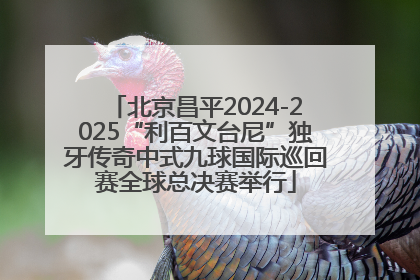 北京昌平2024-2025“利百文台尼”独牙传奇中式九球国际巡回赛全球总决赛举行