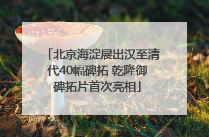 北京海淀展出汉至清代40幅碑拓 乾隆御碑拓片首次亮相