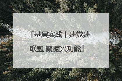 基层实践丨建党建联盟 聚振兴功能