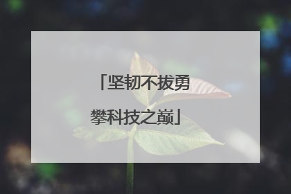 坚韧不拔勇攀科技之巅