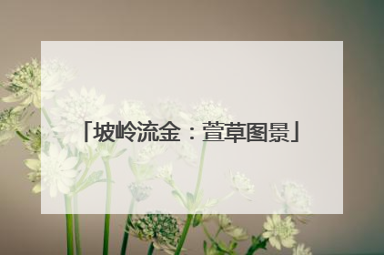 坡岭流金：萱草图景