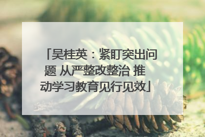 吴桂英：紧盯突出问题 从严整改整治 推动学习教育见行见效