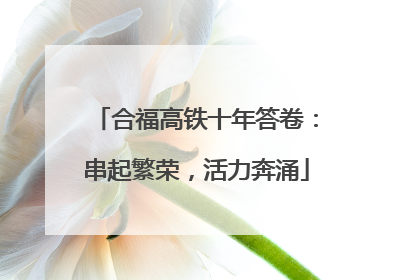 合福高铁十年答卷：串起繁荣，活力奔涌
