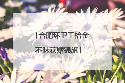 合肥环卫工拾金不昧获赠锦旗