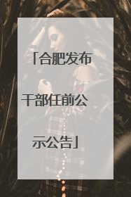 合肥发布干部任前公示公告