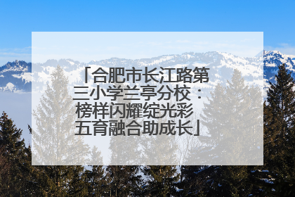 合肥市长江路第三小学兰亭分校：榜样闪耀绽光彩 五育融合助成长