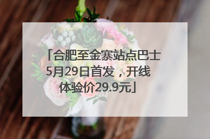 合肥至金寨站点巴士5月29日首发，开线体验价29.9元