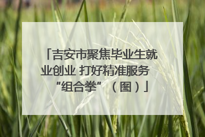 吉安市聚焦毕业生就业创业 打好精准服务“组合拳”（图）
