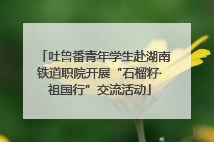 吐鲁番青年学生赴湖南铁道职院开展“石榴籽·祖国行”交流活动