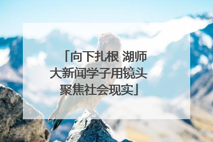 向下扎根 湖师大新闻学子用镜头聚焦社会现实