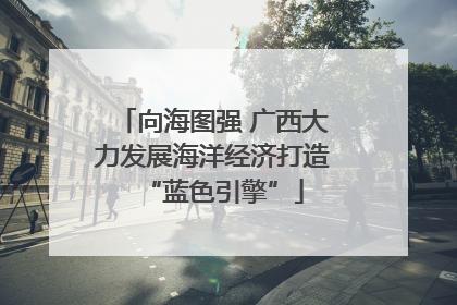 向海图强 广西大力发展海洋经济打造“蓝色引擎”