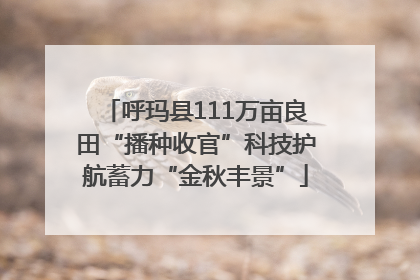 呼玛县111万亩良田“播种收官”科技护航蓄力“金秋丰景”