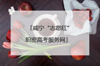 咸宁“志愿红”织密高考服务网