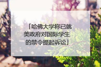 哈佛大学称已就美政府对国际学生的禁令提起诉讼