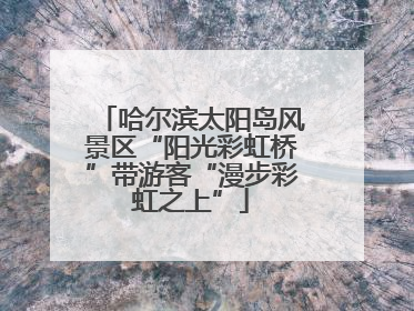 哈尔滨太阳岛风景区“阳光彩虹桥”带游客“漫步彩虹之上”