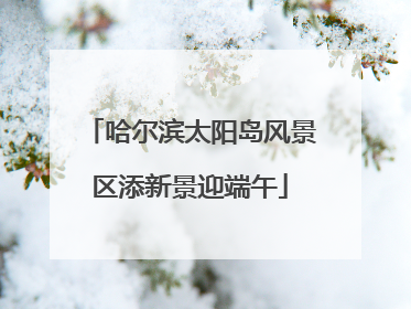 哈尔滨太阳岛风景区添新景迎端午