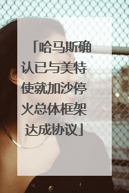 哈马斯确认已与美特使就加沙停火总体框架达成协议