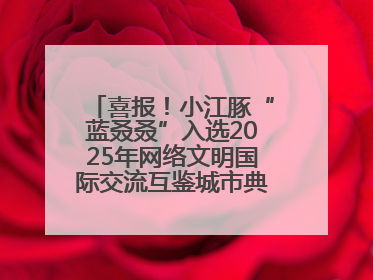喜报！小江豚“蓝叒叒”入选2025年网络文明国际交流互鉴城市典型案例