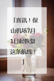 喜讯！保山机场7月1日起恢复这条航线！